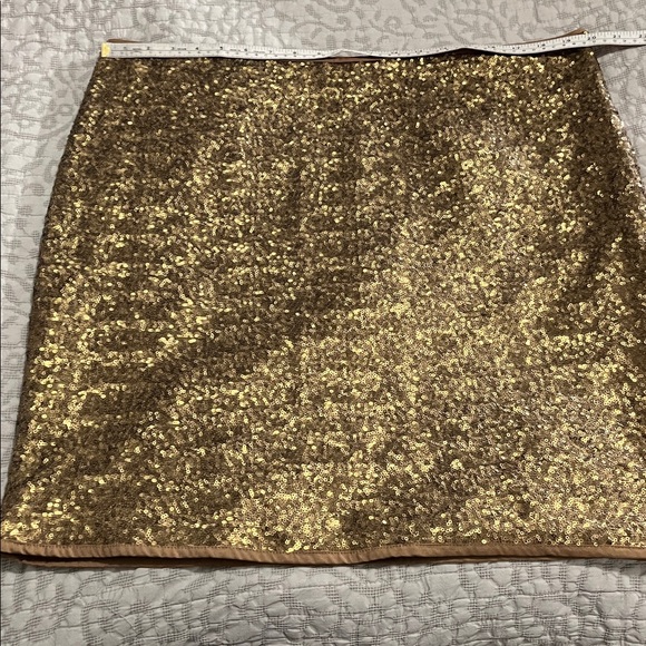 Coppery Gold Sequinned Skirt by Laura Plus 14+ - Picture 3 of 10